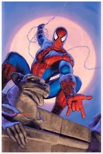 Spider-Man Framed Poster – Greg Hildebrandt 1990s Marvel Gargoyle Rooftop Art