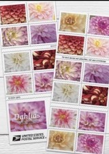 DAHLIAS Forever Stamps   20/booklet