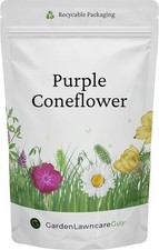 Purple Coneflower Seeds - 20g Resealable Pouch – Ideal for Wildflower Meadows 569.50 per kilo