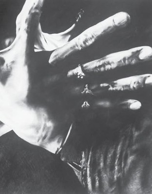 James Drake: Tongue-Cut Sparrows -  NEW  2024