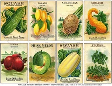 Seed Packet Reproduction, Flower & Vegetable Garden Art Decor, 1 Sticker Sheet