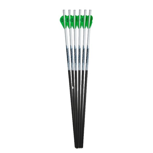 elfbar elfa kaufen 6 Victory Archery 20