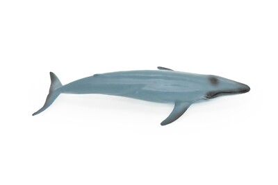Blue Whale Toy, Realistic Rubber Model, Hand Painted Figurine 7 ...