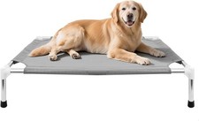Elevated Dog Bed, Indoor/Outdoor Raised Dog Cot for Small Dogs, Detachable Pet