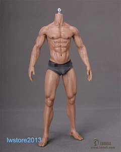 LDDOLL New 30boy 1/6 Muscular Man 12" Seamless Male Action Figure Body NO Head