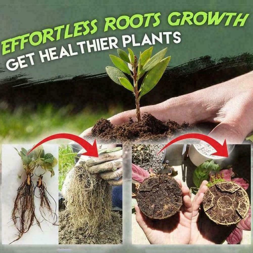 Wzrost roślin Szybkie ukorzenianie Rozpuszczalny w wodzie do sadzonek Bonsai O0K0 Hormony nowe