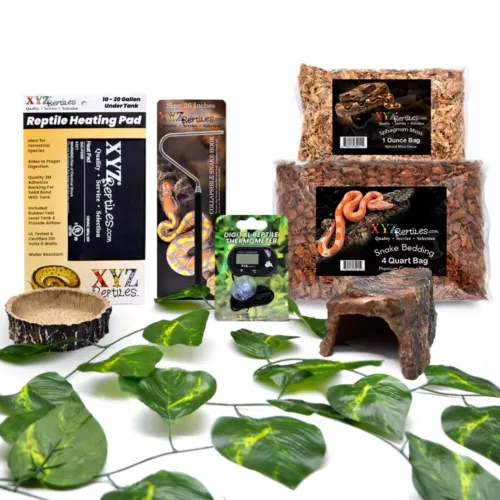 Snake Kit 10 Gallon Terrarium Starter Snake Habitat Setup XYZReptiles