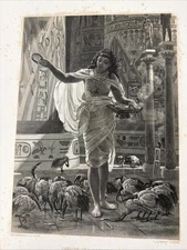 19th Century Engraving “FEEDING THE SACRED IBIS