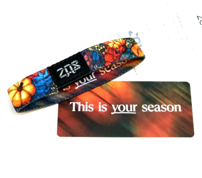 ZOX **THIS IS YOUR SEASON** Silver Single Wristband w/Card You  display picture 1