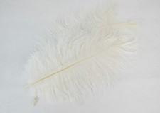 Pz 14 Piume Marabu Naturale Bianca Cm 22 decorazioni composizioni fai da te