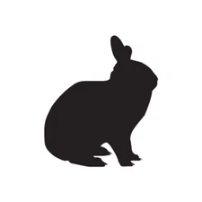 Bunny Jack Rabbit - Vinyl Decal Sticker - Multiple Colors & Sizes - ebn2848