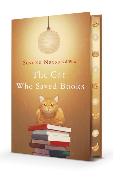 Sosuke Natsukawa The Cat Who Saved Books-image