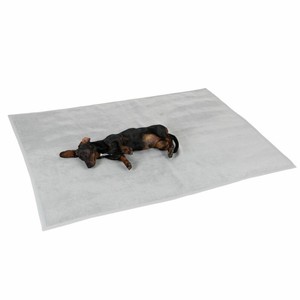 dog blanket grey