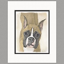 Boxer Dog Original Art Print 8x10 Matted to 11x14