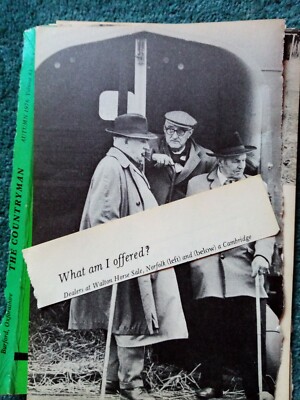 Sa17 Ephemera 1976 Bild Walton Pferd Verkauf Händler 