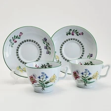 Spode Summer Palace Stoneware Cup & Saucer 2 Sets Multicolor Floral Discontinued