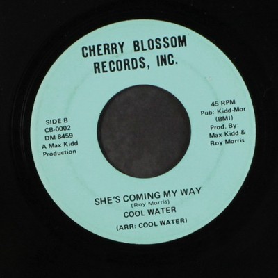 Cool Water: Sie Kommt Mein Weg / Zusammen Kirschblüte 7'' Single 45 U/min