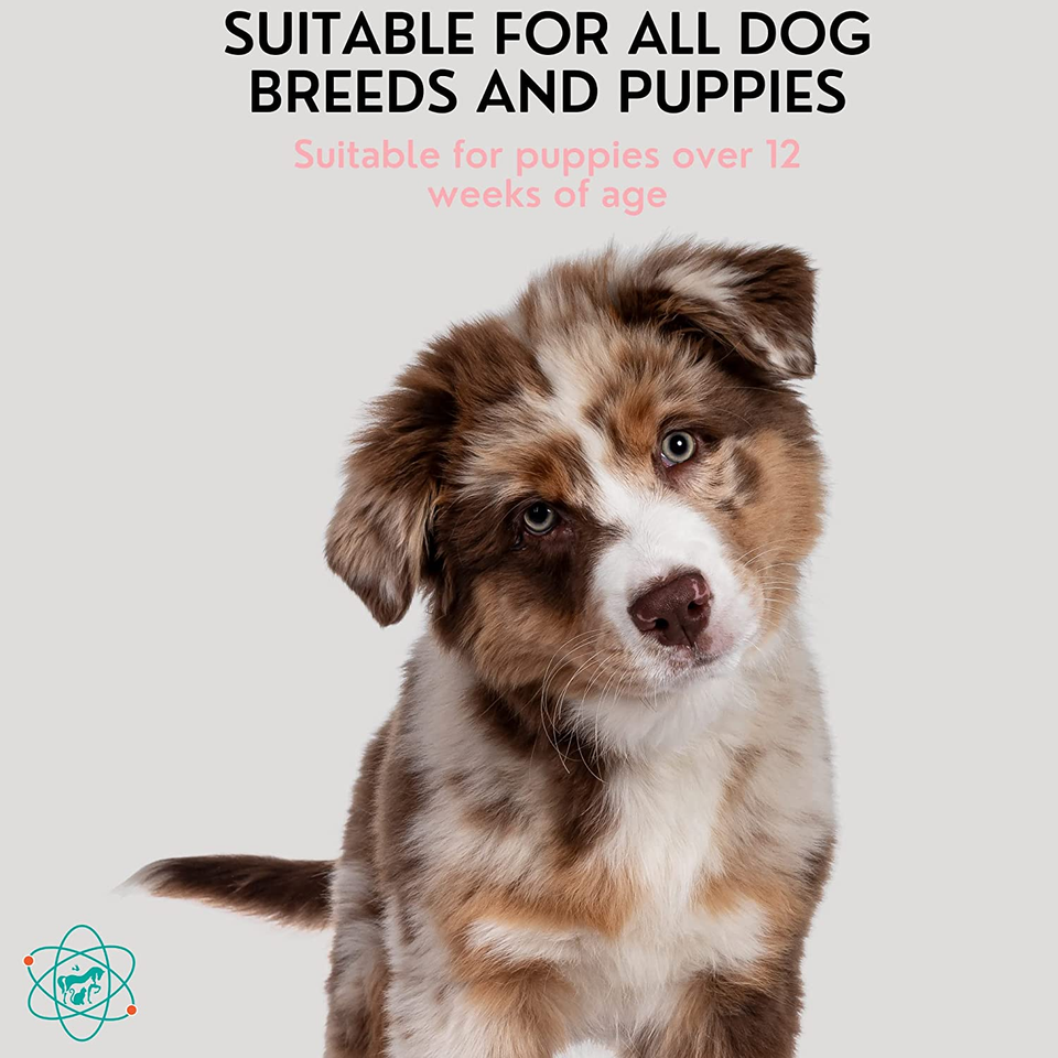 1 Gallon Tearless Puppy Shampoo and Conditioner anti Itch Dog Shampoo Sensitiv eBay