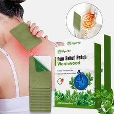 🌿Herbal Pain Relief Patch 60x -Knee Back Neck Muscle Arthritis Support Murgwort