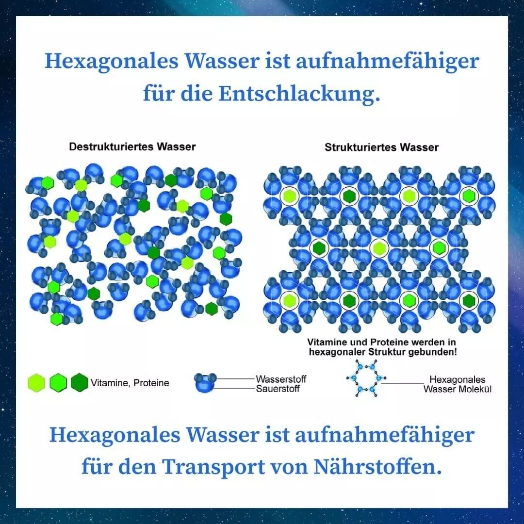 Bild 5 von 8
