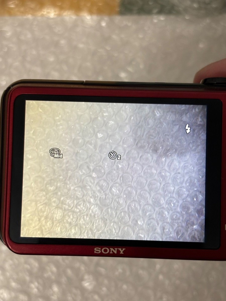 Sony Cyber Shot DSC-HX10V red 18.2MP 16x Optical Zoom Japanese