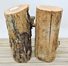 2 Apple Wood Stick Log Chunk 2 3/4"D 6"L Spalted Driftwood Live Edge