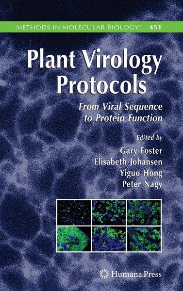 Gary Foster (U. A.) | Plant Virology Protocols | Buch | Englisch (2008) | Xx-image