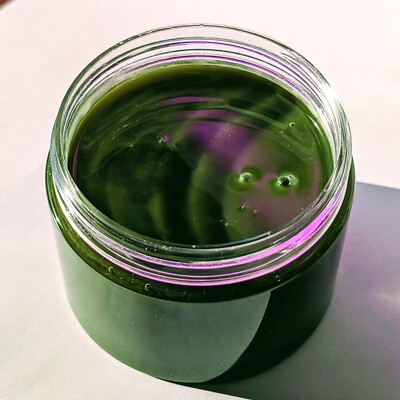 Live Seaweed Face Mask. Unisex. Made in NYC. Anti-Aging, Anti-Wrinkle