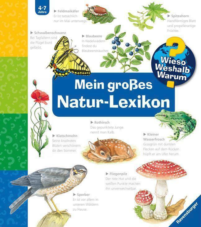 Thumbnail - Mein Groães Natur-lexikon - Sandra Noa - 9783473329892 Dhl-versand