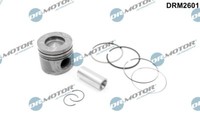 Dr.Motor Automotive Kolben Passend FüR BMW 5Er Touring 525D 530D X5