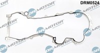 Dr.Motor Automotive Dichtung SteuergehäUsedeckel FüR Opel Corsa D 1.3 Cdti