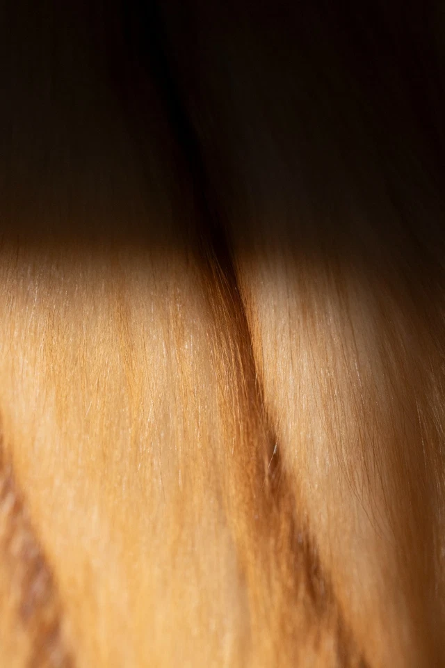 Pelzmatel, Rotfuchs in Größe 38 /40 - Bild 4 von 4