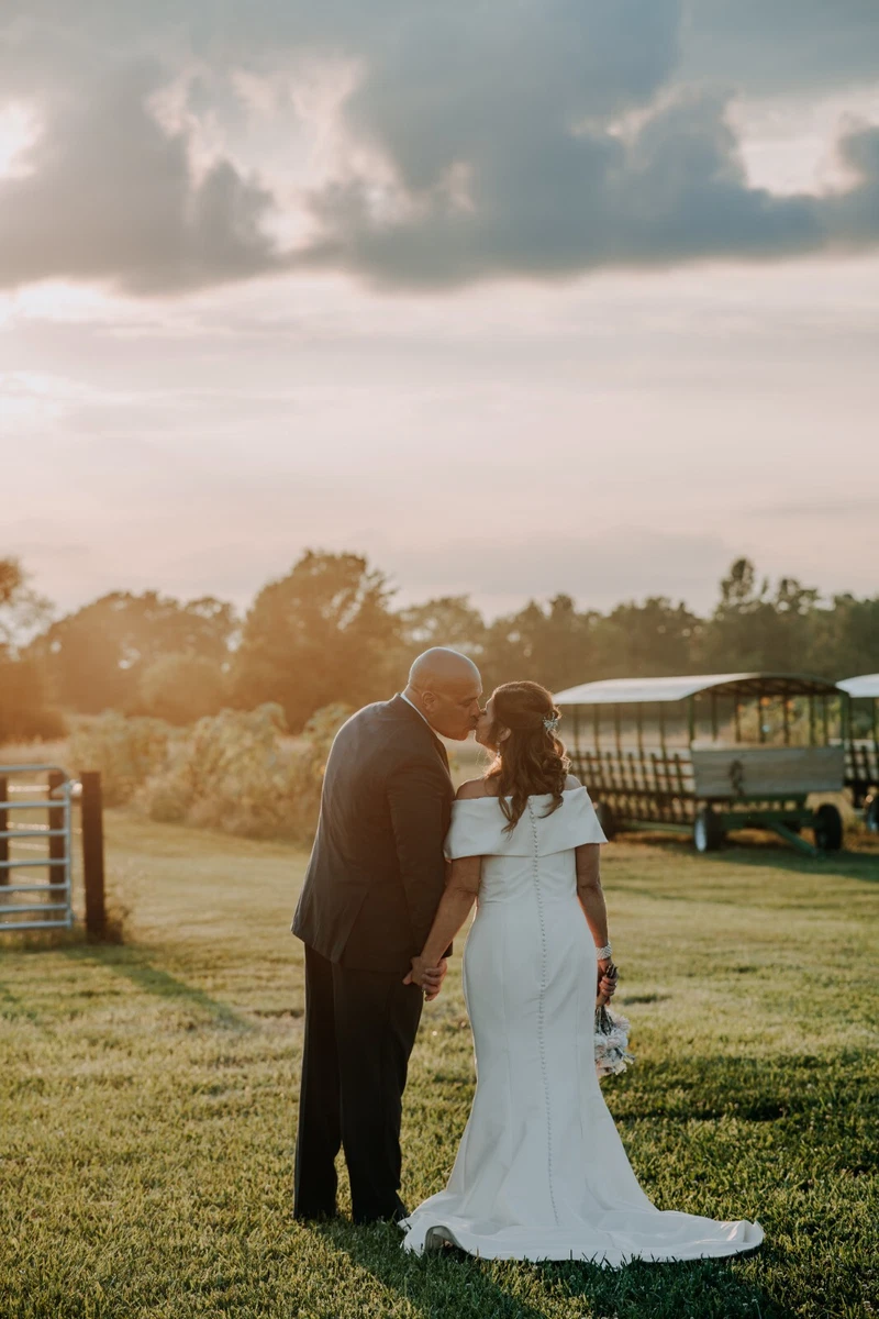 Wedding dress designer alexander cheap