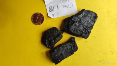 Coal Specimen sample Mineral Stone  coal / slate mix 50 gr 3pc not pure