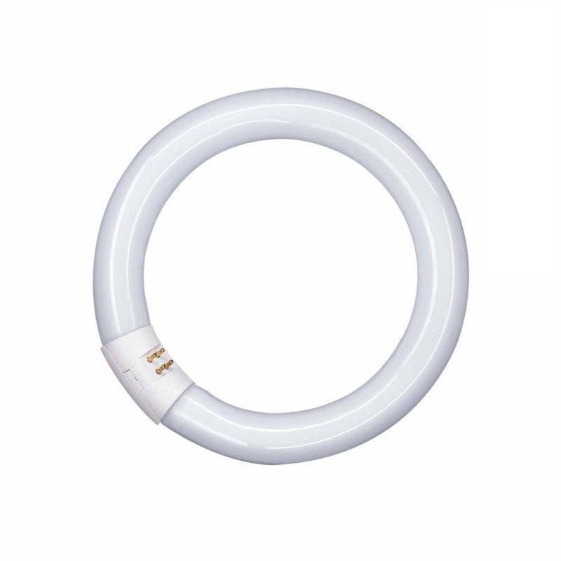 Philips TL-E 40W 840 anneau G10Q néon circulaire blanc froid dimmable pour plafonnier