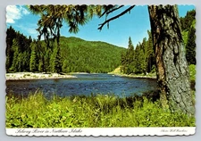 Selway River Northern Idaho Scenic Vintage Dexter Press Postcard