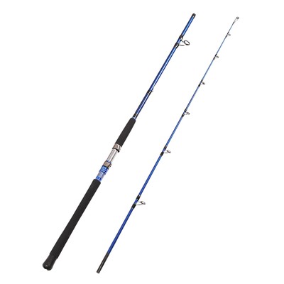 2-Piece Saltwater Spinning Fishing Rod Offshore Graphite Portable Fishing Rod...