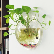 Aquarium Mini En Forme De Bol En Acrylique Poisson Beta Décor Mur Plante