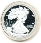US 2023 W   American Eagle Proof silver Dollar    ..........C50050