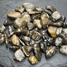 Stromatolite Fossil Tumbled Stones (By The Piece or Pound) Mineral Specimen