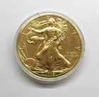 2009 American Eagle Silver Dollar, 1 oz Silver Coin (Gold Tone)