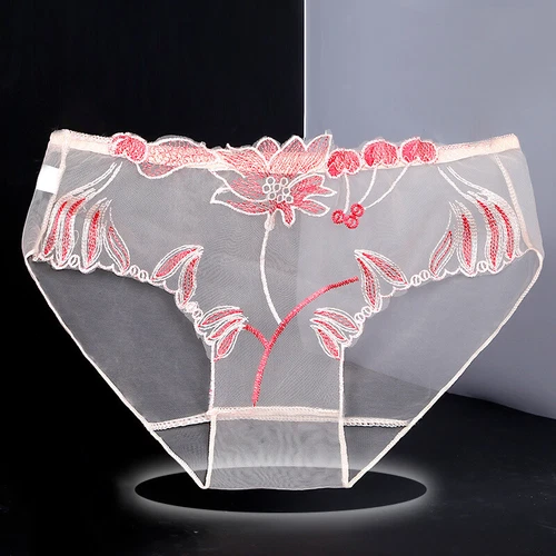 Womens Sexy Underwear See Through Lingerie Mesh Briefs Lace Panties Knickers🎀 - Picture 6 of 30