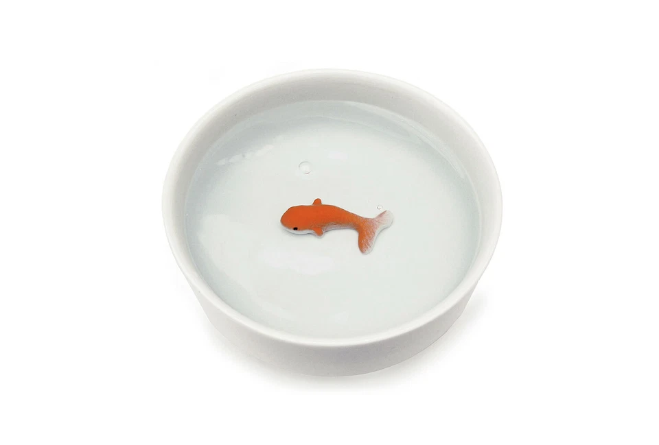 Goldfisch Wasserschale | Fish Pet Bowl - Bild 2 von 3