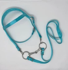 MINIATURE HORSE / SM PONY NYLON  BRIDLE - TURQUOISE