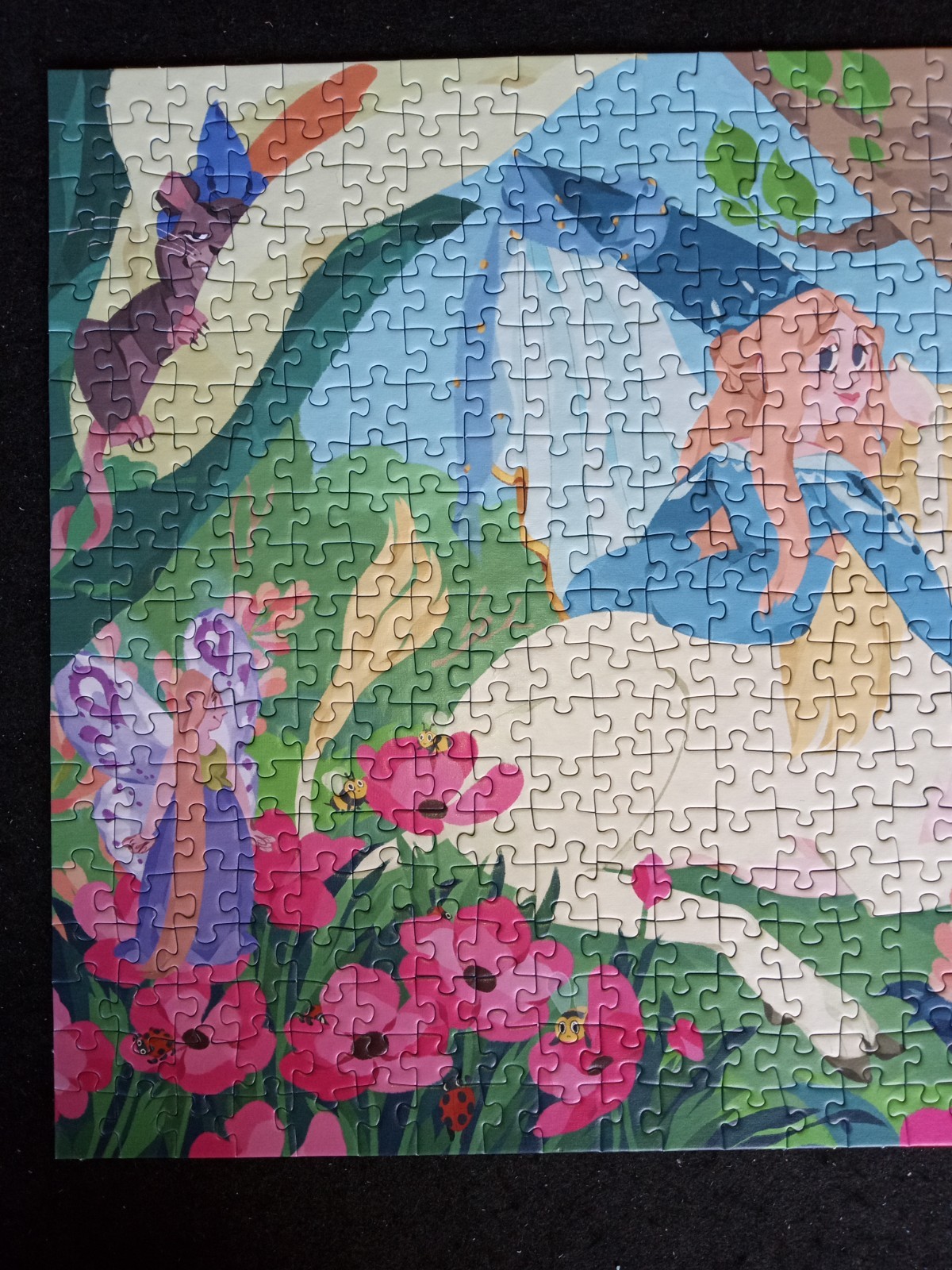 Picture 4 of 17
