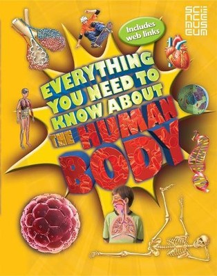 Patricia Macnair Everything You Need To Know About The Human Body (Taschenbuch)