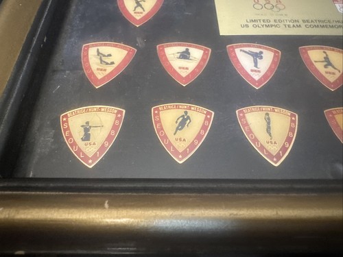 Juego de 30 prendedores conmemorativos del equipo olímpico de Estados Unidos Beatrice/Hunt-Wesson 1988 edición limitada SEÚL - Imagen 13 de 17