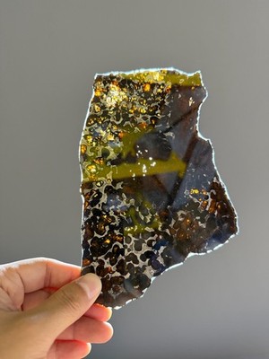 68.1grams Sericho Pallasite Meteorite Slice