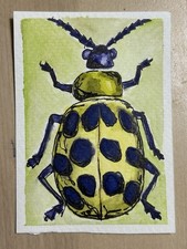 ACEO original watercolor and ink, spotted beetle, 2.5”x3.5”