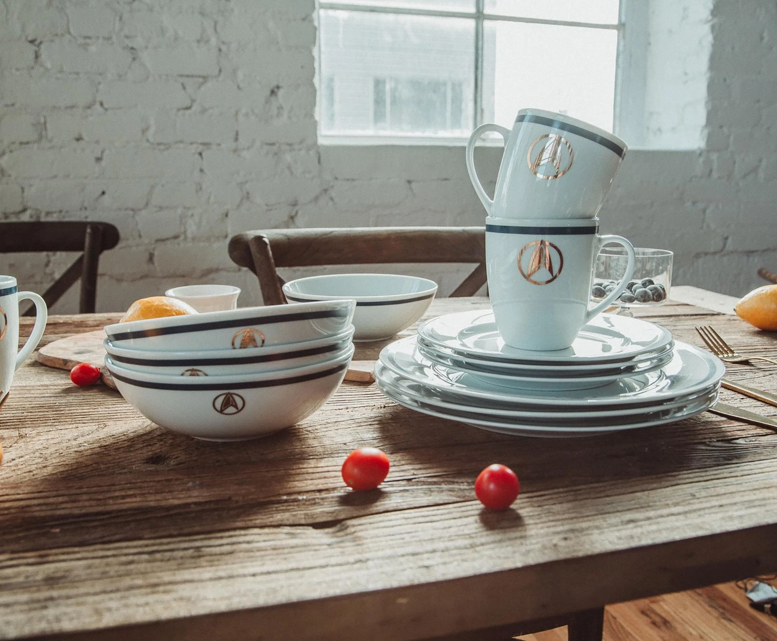 Star Trek: Picard 25th Century 16-Piece Ceramic Dinnerware Set - Thumbnail 3